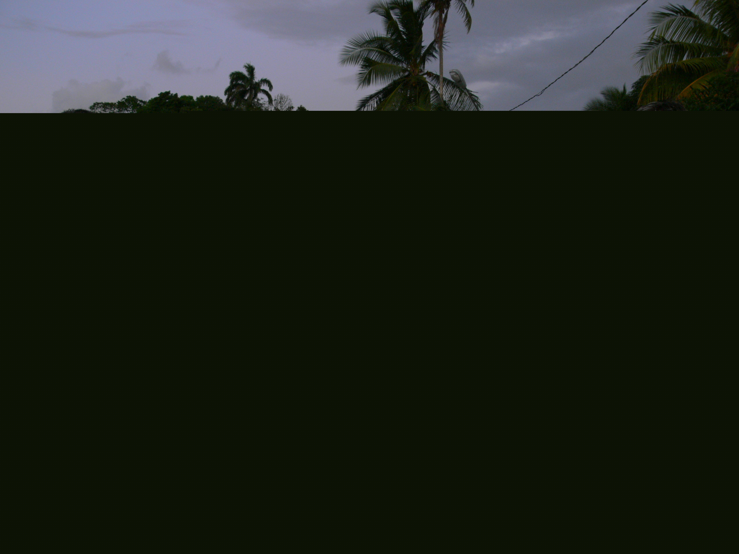 p1060442.jpg